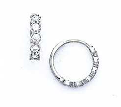 
14k White 2.5 mm Round Cubic Zirconia Hinged Earrings
