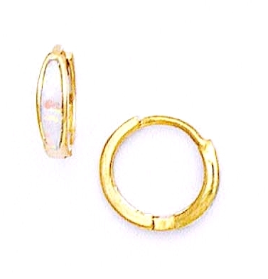 
14k Yellow Cubic Zirconia Petite Hinged Earrings
