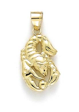 
14k Yellow Gold Polished Zodiac-Scorpsio Pendant
