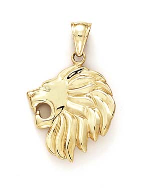 
14k Lion Head Pendant
