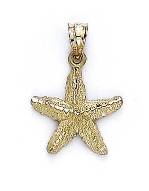 
14k StarFish Pendant
