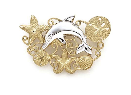 
14k Two-Tone Dolphin Seashore Slide
