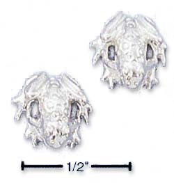 
Sterling Silver High Polish Froggie Post Earrings
