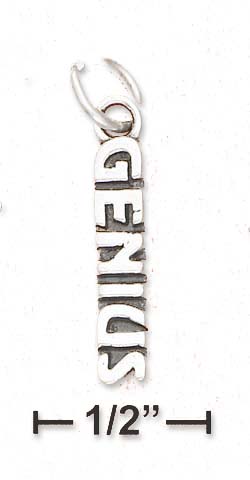 
Sterling Silver Antiqued Vertical Genius Charm
