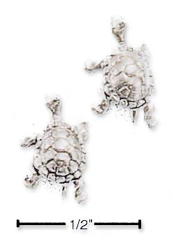 
Sterling Silver Swimming Turtle Post Earrings
