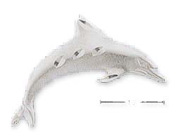 
Sterling Silver Satin/DC Dolphin Charm
