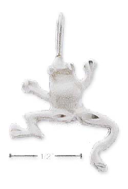 
Sterling Silver Satin/DC Frog Charm
