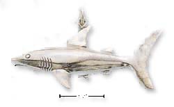 
Sterling Silver Shark Charm
