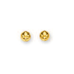 
14k Yellow 5 mm Ball Stud Earrings
